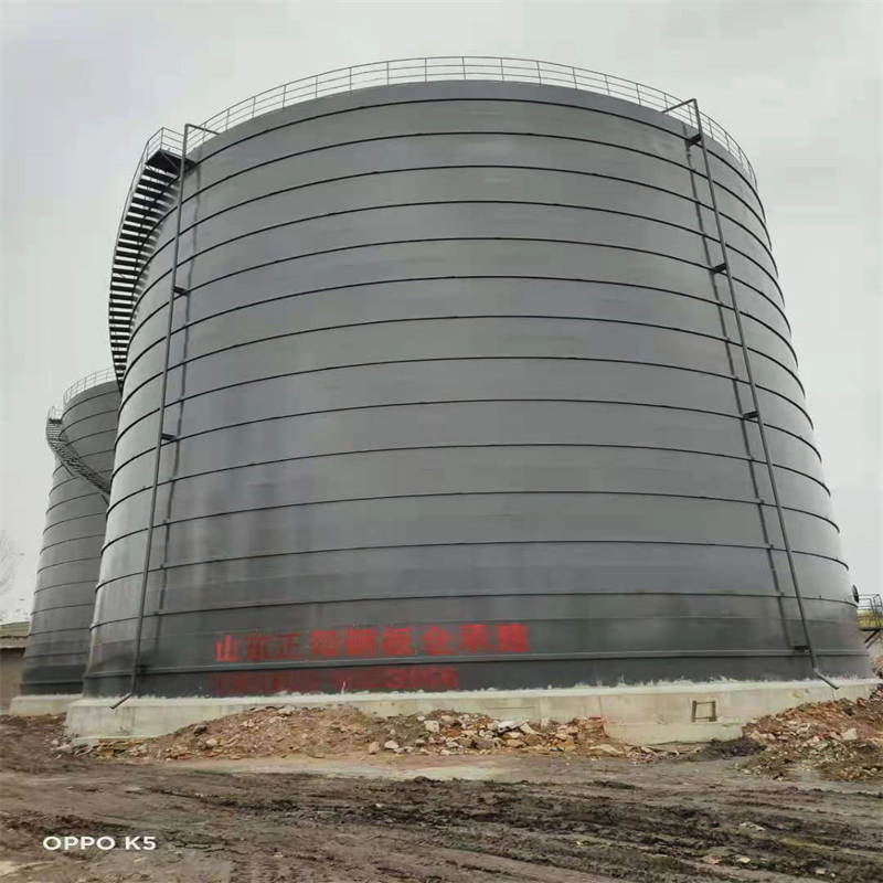 天镇3万吨大型钢板库